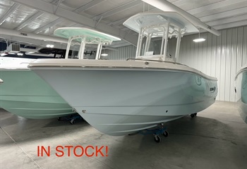 2025 Robalo R230 Ice Blue  Boat